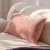 coco roz.webp