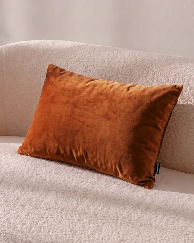 VELVET 2AL ruda pr.webp